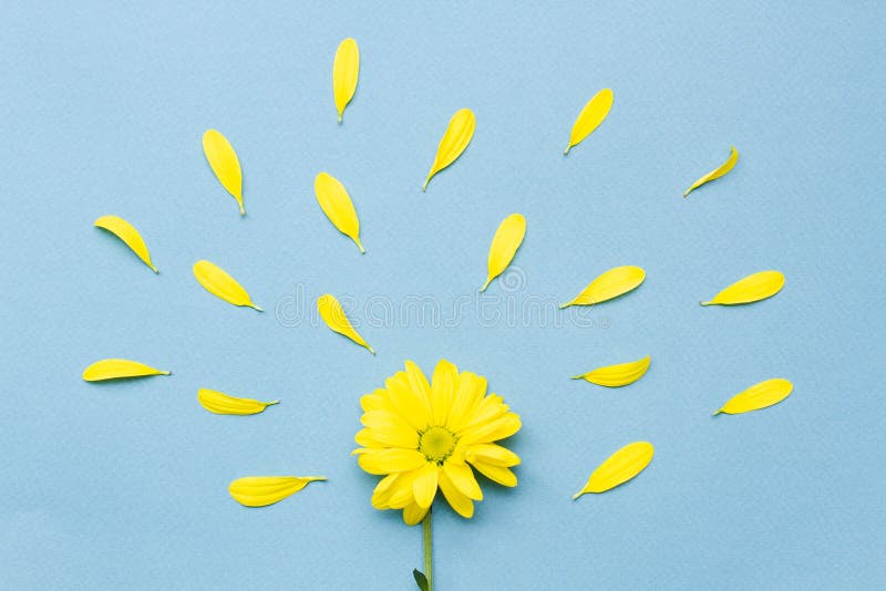 Đóa hoa nhỏ màu vàng như những chiếc sao nhỏ trên cánh đồng hoang sơ sẽ mang lại cho bạn những cảm xúc nhẹ nhàng và yên bình. Hãy cùng chiêm ngưỡng hình ảnh đầy màu sắc và nghệ thuật này để tận hưởng sự đẹp đẽ của hoa và thiên nhiên.