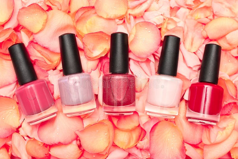 Shiny nail polish on rose petals. Shiny nail polish on rose petals
