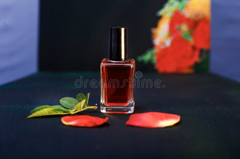 Said View of The Pink Color nail polish on pink rose petals on. Said View of The Pink Color nail polish on pink rose petals on