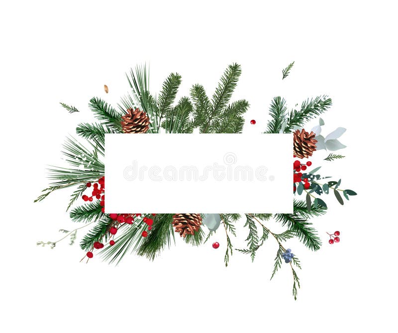 Smaragdweihnachtsgrün roter Winterbeerjuniper Zedar smaragdfarbener Fichtenvektor stock abbildung