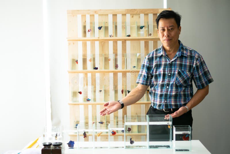 Smart asian men selling siamese fighting fish betta are welcom royalty free stock photography Smart asian men selling siamese fighting fish betta are welcom royalty free stock photography