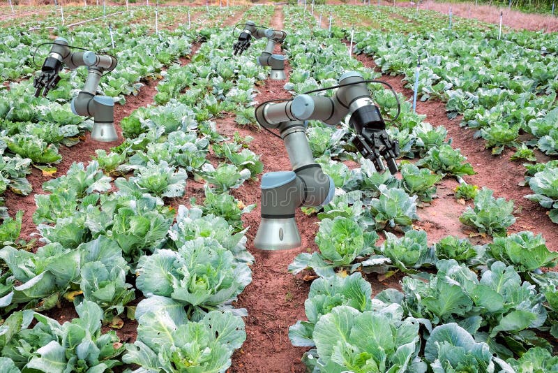 Smart cultivant 4 0 et industrie 4 0, idée de concept d'innovation photos libres de droits Smart cultivant 4 0 et industrie 4 0, idée de concept d'innovation photos libres de droits