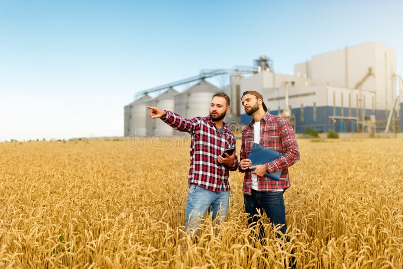 Smart, das unter Verwendung der modernen Technologien in der Landwirtschaft bewirtschaftet Bemannen Sie Agronomenlandwirt mit dig lizenzfreie stockfotografie Smart, das unter Verwendung der modernen Technologien in der Landwirtschaft bewirtschaftet Bemannen Sie Agronomenlandwirt mit dig lizenzfreie stockfotografie