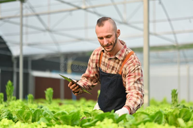 Smart Farmer Working in Hydroponic Farm, Analyzing Greenhouse Science