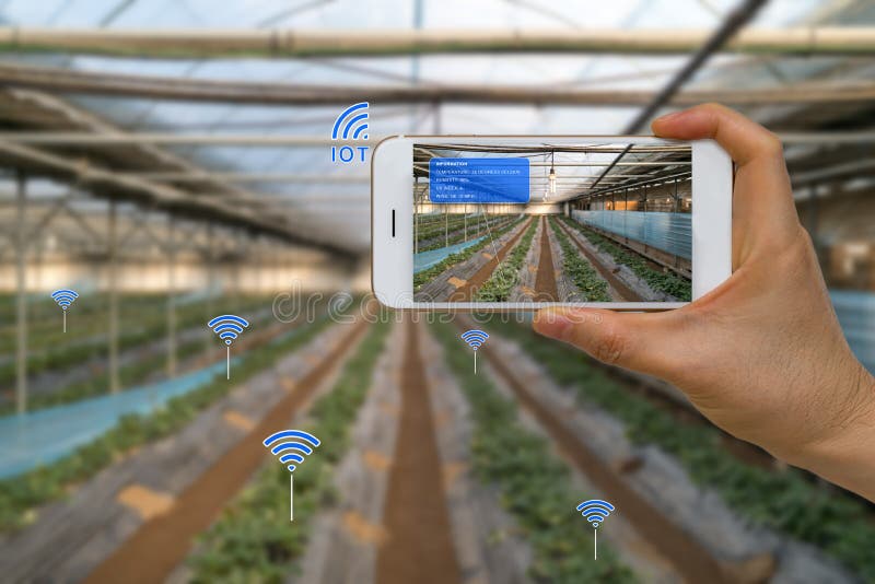 Smart Farming Agriculture Concept Using Internet of Things, IOT, and Augmented Reality, AR, and Smart Device royalty free stock image Smart Farming Agriculture Concept Using Internet of Things, IOT, and Augmented Reality, AR, and Smart Device royalty free stock image
