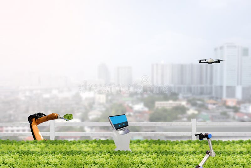 Smart farming concept, robot in agriculture field work in the ur stock image