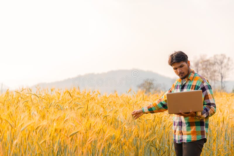 Smart farming using modern technologies in agriculture. stock photography Smart farming using modern technologies in agriculture. stock photography
