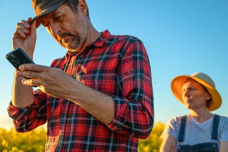 Smart farming, using smartphone app on canola rapeseed plantation field, portrait of two farmers, male and female, working in stock image