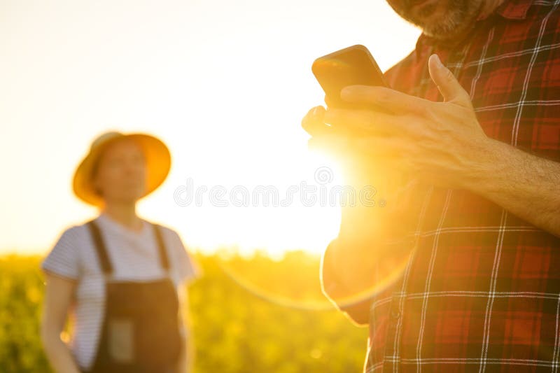 Smart farming, using smartphone app on canola rapeseed plantation field, portrait of two farmers, male and female, working in royalty free stock photography
