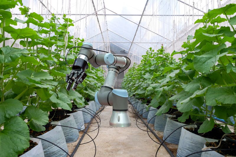 Smart robot installed inside the greenhouse, smart farm 4.0