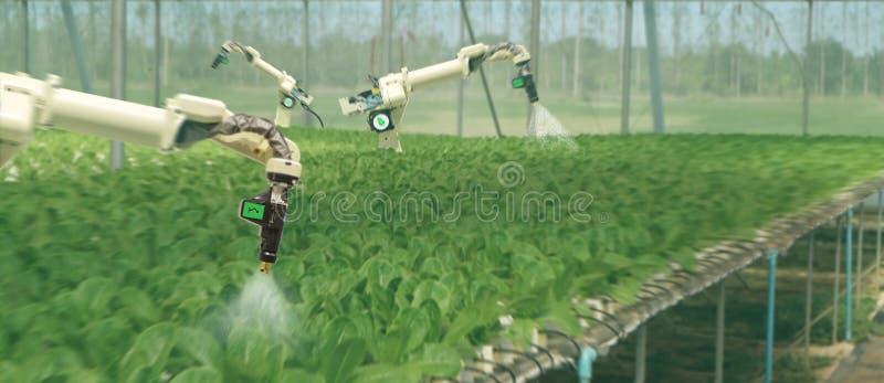 Smart Robotic In Agriculture Futuristic Concept Robot Farmers