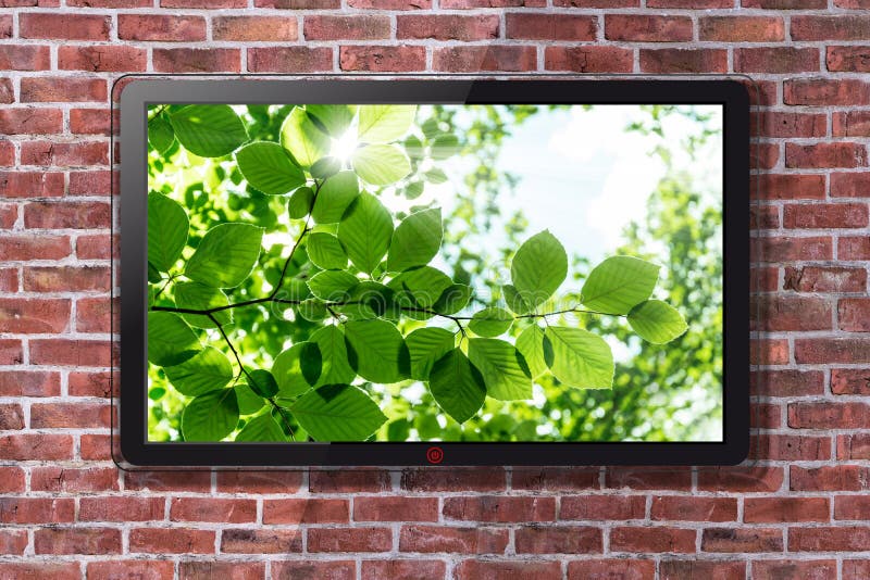 Smart TV med den naturliga gröna bladtapeten - tegelstenvägg i bakgrund arkivfoton Smart TV med den naturliga gröna bladtapeten - tegelstenvägg i bakgrund arkivfoton