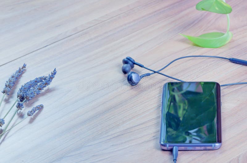 Smartphone with earphones and dry of lavender flowers on the table in the garden background, Mobile headphones on wood table. Smartphone with earphones and dry of lavender flowers on the table in the garden background, Mobile headphones on wood table.