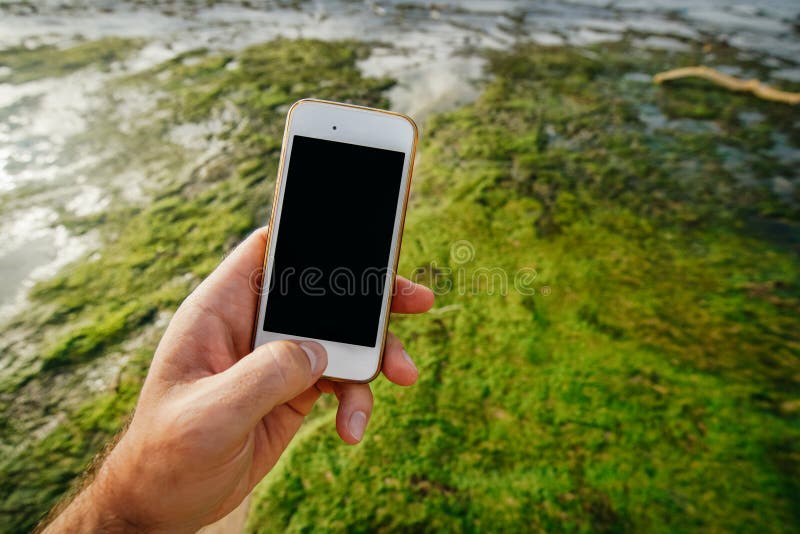 Smartphone blanc de téléphone dans la main d'un homme avec un écran noir vide sur le fond du littoral à marée basse et d'Al vert photos libres de droits Smartphone blanc de téléphone dans la main d'un homme avec un écran noir vide sur le fond du littoral à marée basse et d'Al vert photos libres de droits