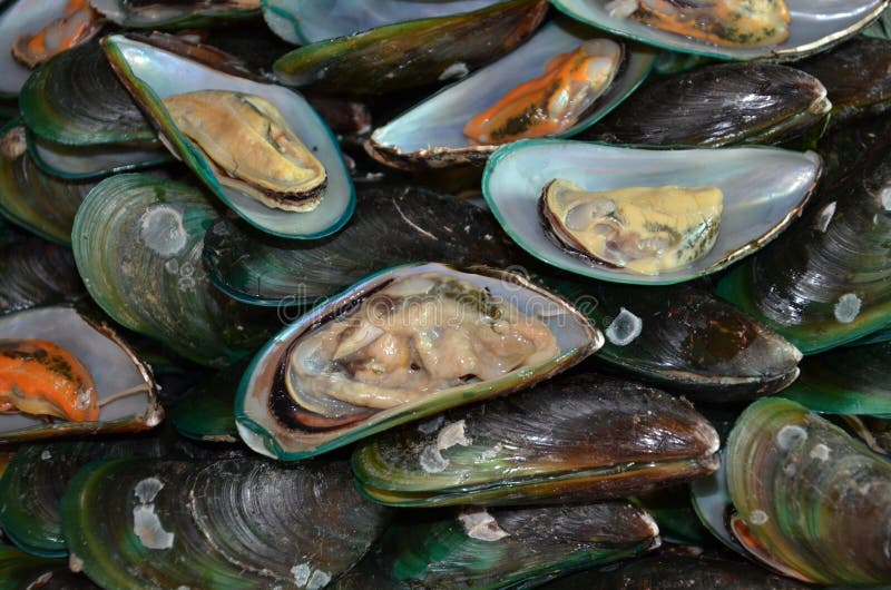 Utsökta lager på lager-feta musslor arkivbild