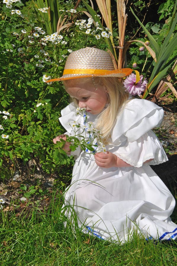 Smell the flowers stock image. Image of daisy, gardens 24709171