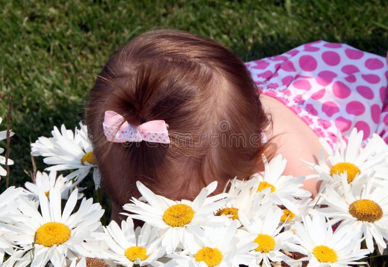 Smell the flowers stock image. Image of flower, love, spring 5832011