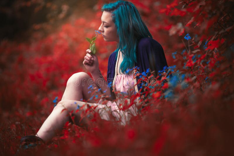 Smelling flower royalty free stock images Smelling flower royalty free stock images