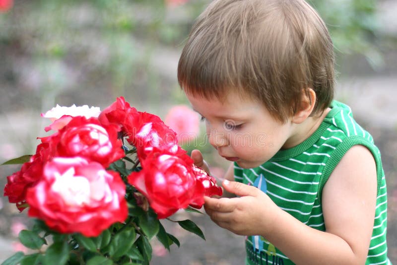 Smelling flowers stock image. Image of children, toddler 11865971
