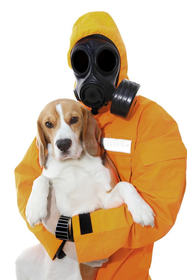 Person wearing a gas mask holding a smelly dog.  coronavirus corona virus corvid 19 in pets or animals. Person wearing a gas mask holding a smelly dog.  coronavirus corona virus corvid 19 in pets or animals.