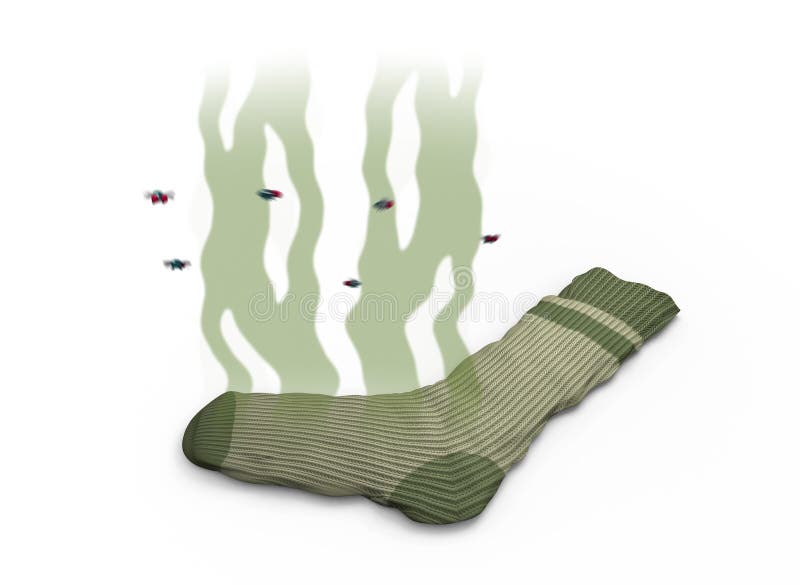 Smelly Sock, 3d Illustration Stock Illustration - Illustration of  clothesline, insect: 80353594