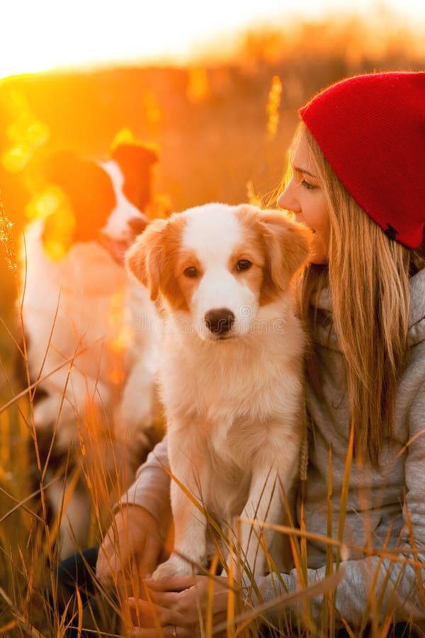 Smile girl with two cool border collie dog puppy lay on green field. sky sunset on background