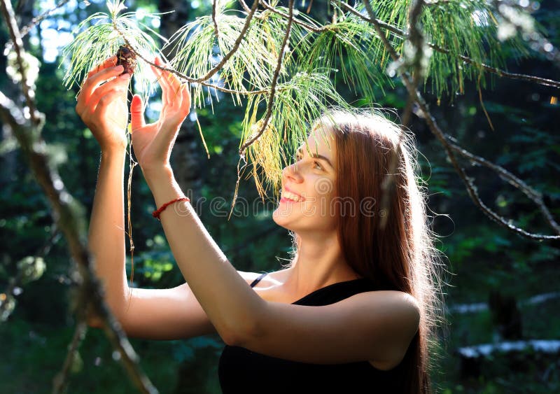 Smiling girl rips a lump from a cedar branch in the summer Siberian taiga royalty free stock photos Smiling girl rips a lump from a cedar branch in the summer Siberian taiga royalty free stock photos