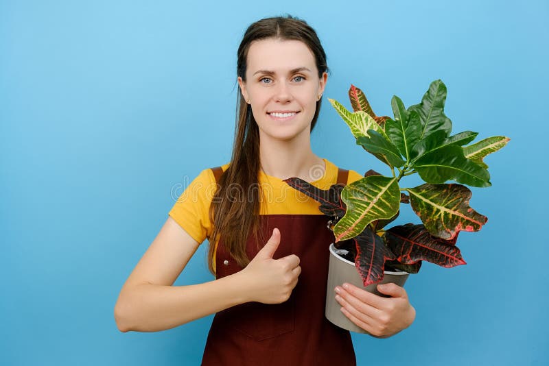 Smiling Beautiful Young Female Housewife Wears Red Apron Hold picture image