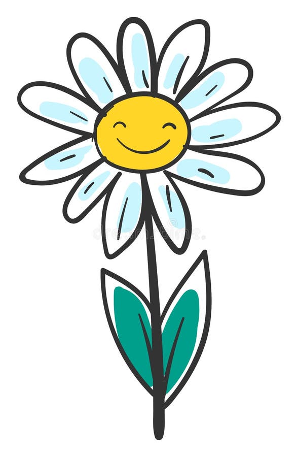 Smiling daisy, illustration, vector on white background