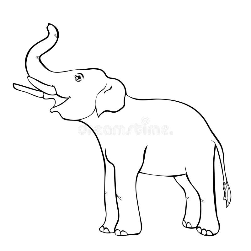 Elephant Trunk Up Stock Illustrations – 1,291 Elephant Trunk Up Stock