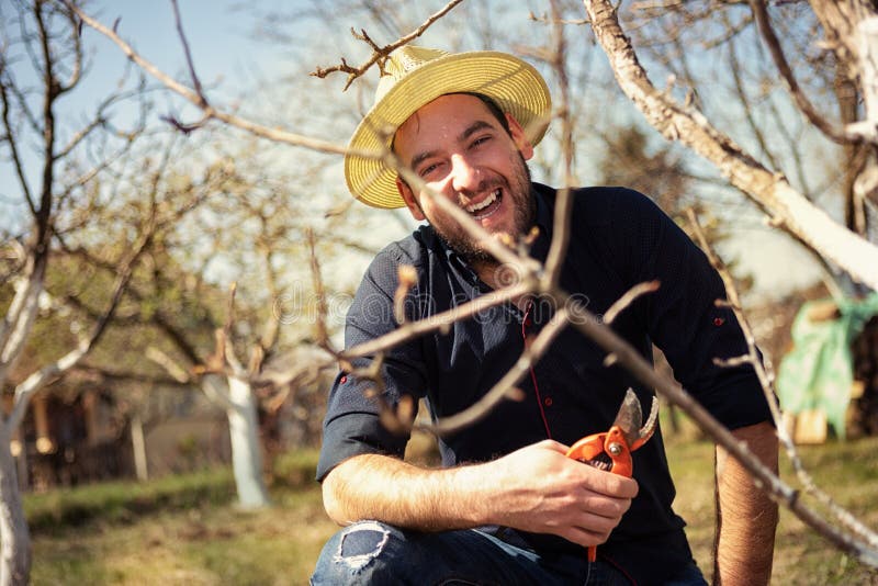 Smiling farmer pruning branches of fruit tree