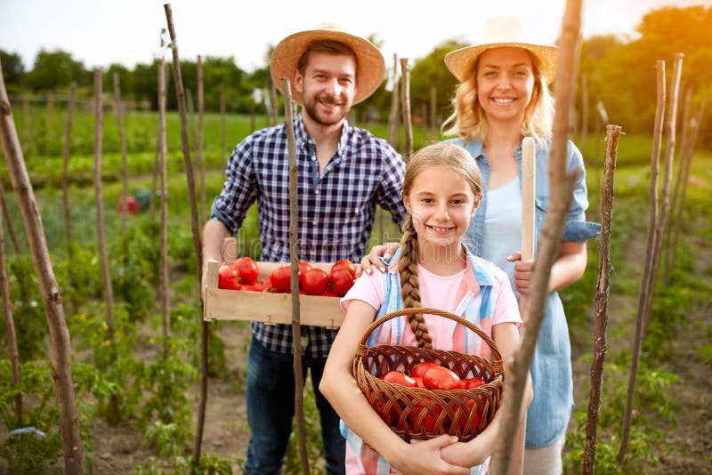 Smiling farmers with tomatoes in garden