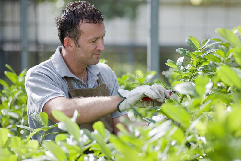 Smiling gardener