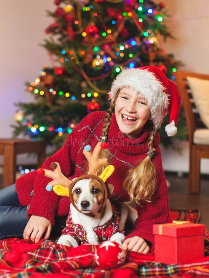 Smiling Girl with Dog Near Christmas Tree at Home Stock Photo - Image ...