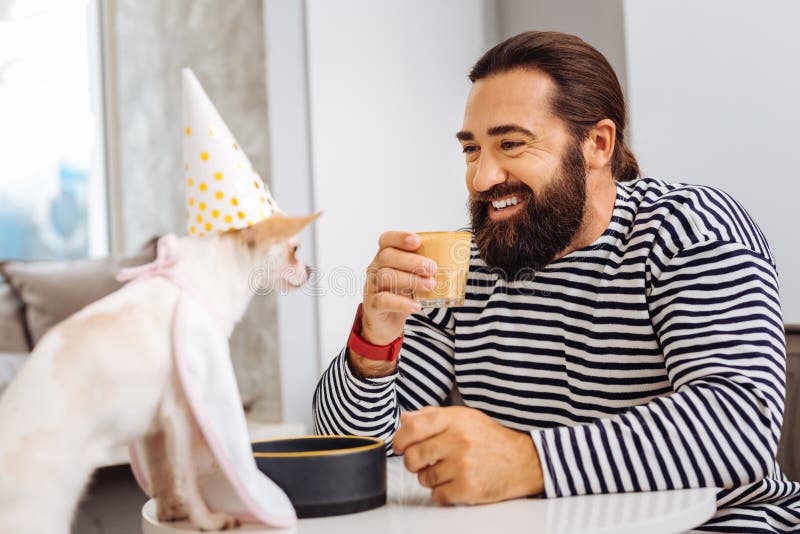 Smiling handsome man feeling nice while playing with his dog stock photography Smiling handsome man feeling nice while playing with his dog stock photography