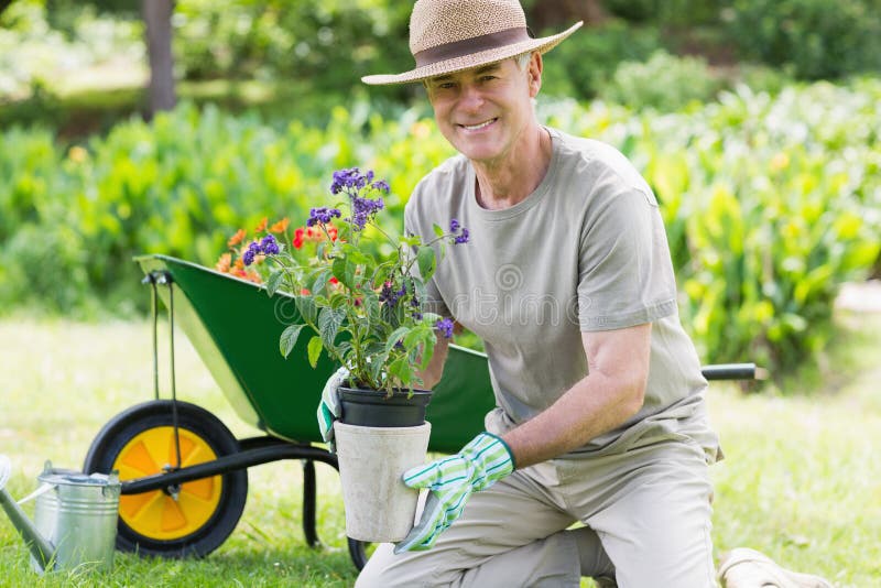 Smiling mature man engaged in gardening royalty free stock photo Smiling mature man engaged in gardening royalty free stock photo