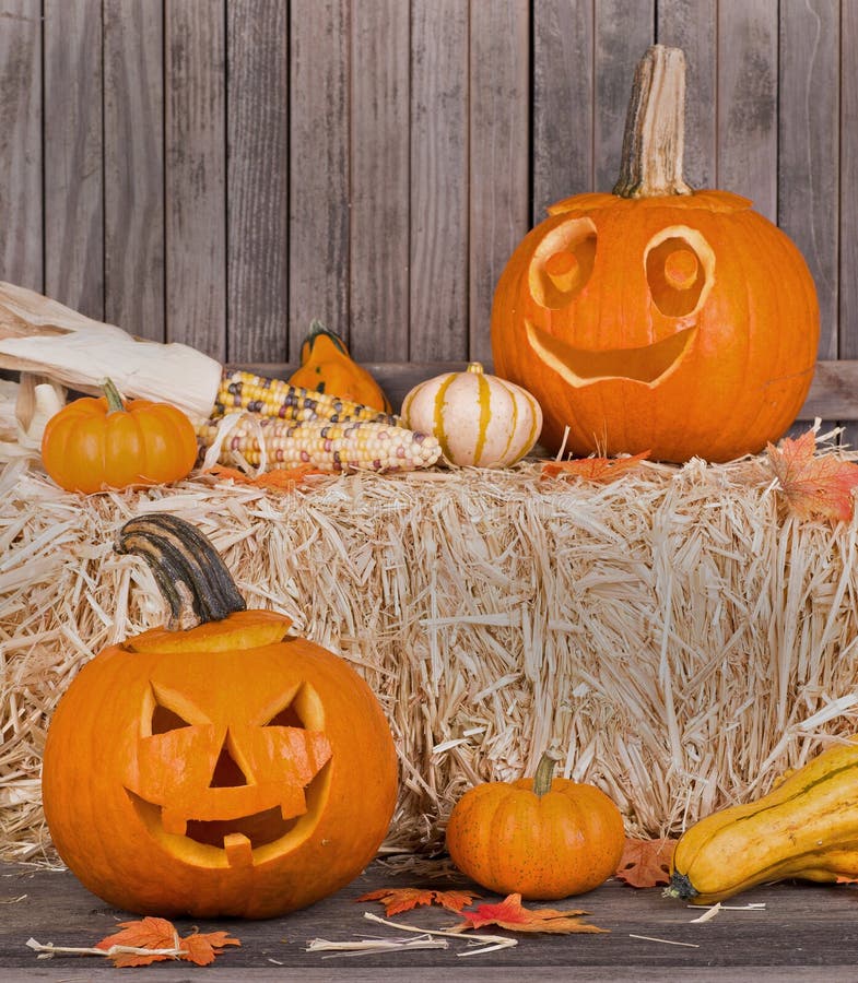 Smiling Pumpkins stock image. Image of season, carved - 45262151