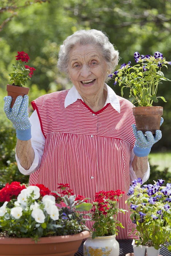 Smiling Senior Woman Holding Flowers stock images Smiling Senior Woman Holding Flowers stock images