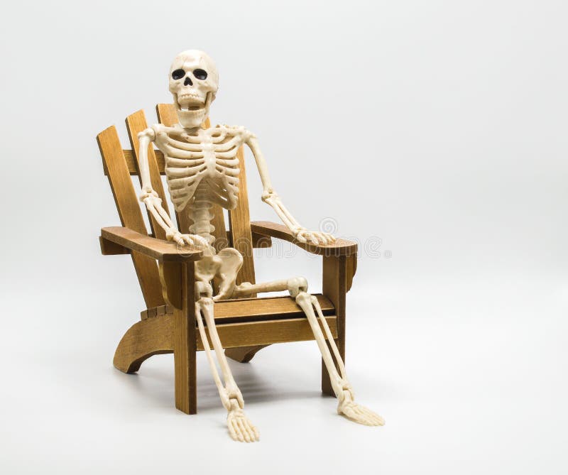 Human Skeleton Sitting Chair Stock Photos Download 81 Royalty
