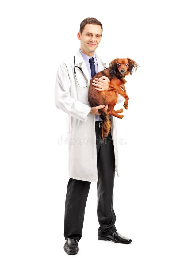 Full length portrait of a smiling veterinarian holding a puppy on white background