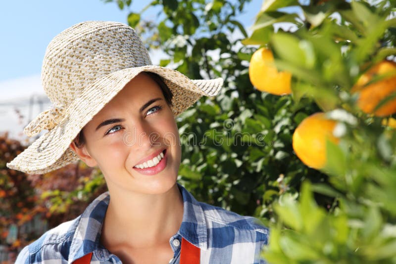 Smiling woman, branch with mandarins on tree in orchard