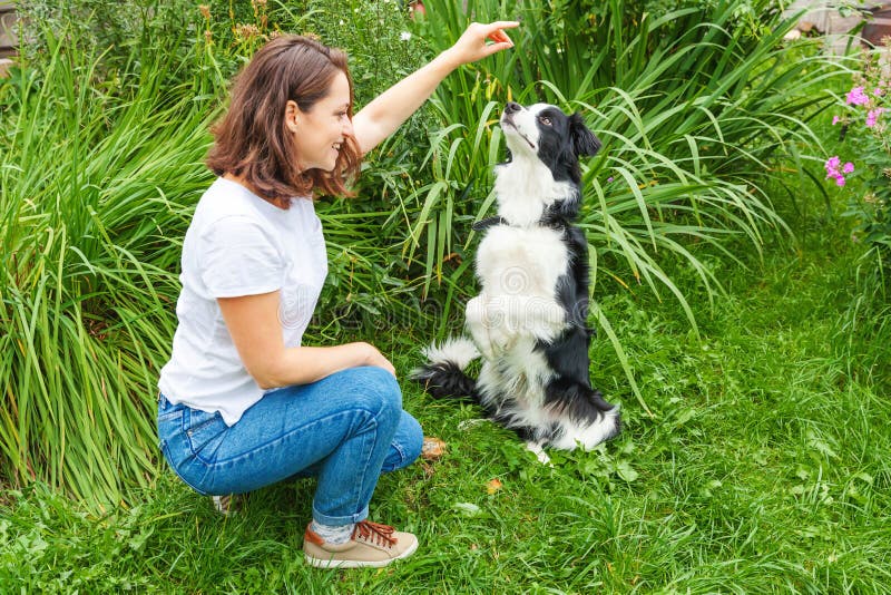 Smiling young attractive woman playing with cute puppy dog border collie in summer garden or city park outdoor background. Girl