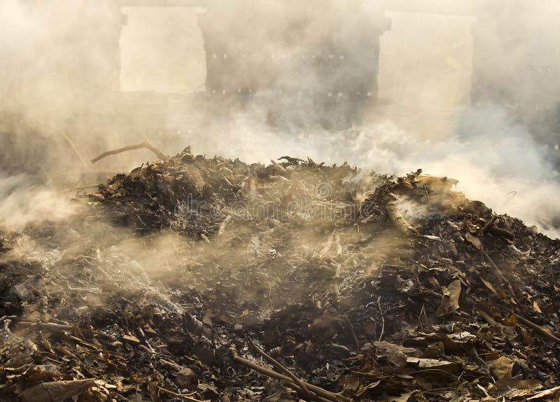 Smoke from burning leaves. stock photo. Image of nature 39511582