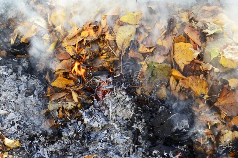 Smoke from burning leaves. stock photo. Image of spring 39511582