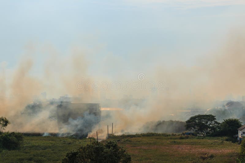 The Smoke that Causes the Burning of Hay and Garbage Stock Image Image of global, dust 148027485