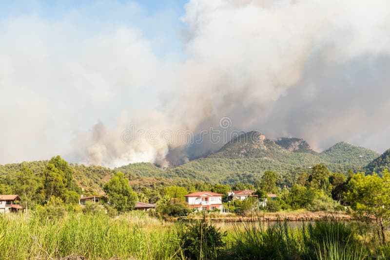 Turkey Fire - Turkey wildfires: 'The animals are on fire,' say ... - The fires have killed three people and forced.
