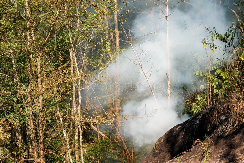 Smoke prairie fire. Dry grass blazes among bushes destruction of forests royalty free stock image Smoke prairie fire. Dry grass blazes among bushes destruction of forests royalty free stock image