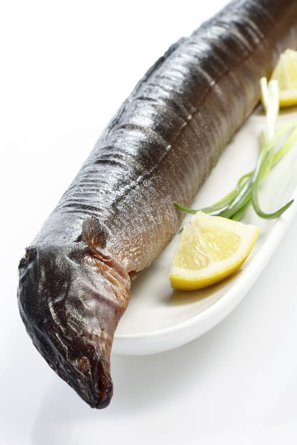 Smoked Eel stock photo. Image of chives, smoked, moray 8499220