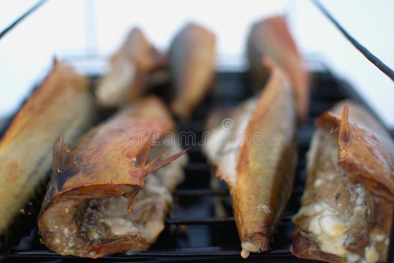 Smoked Fish Mackerel Atlantic Tasty Stock Image Image of nutrition