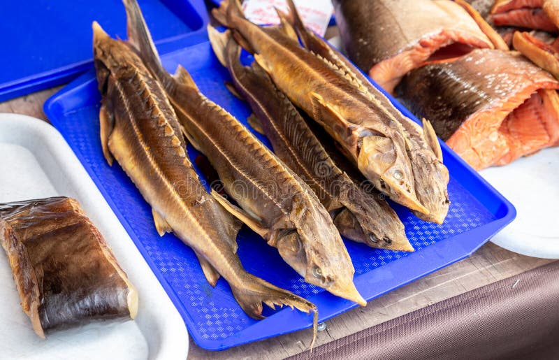 Smoked fish sterlet ready to sale at the farmers market royalty free stock image Smoked fish sterlet ready to sale at the farmers market royalty free stock image